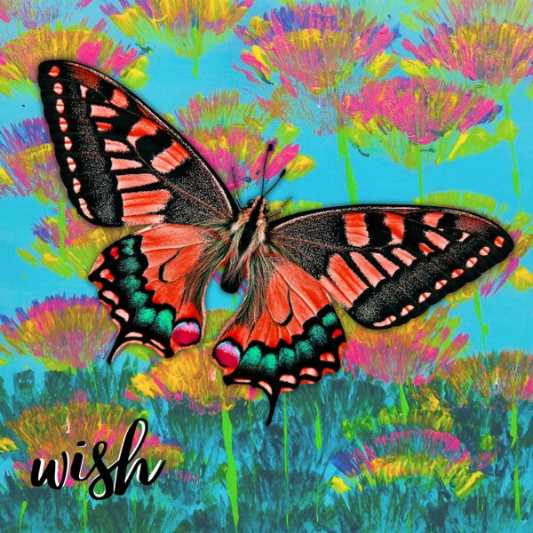 butterfly wish notecards with envelopes and original artwork