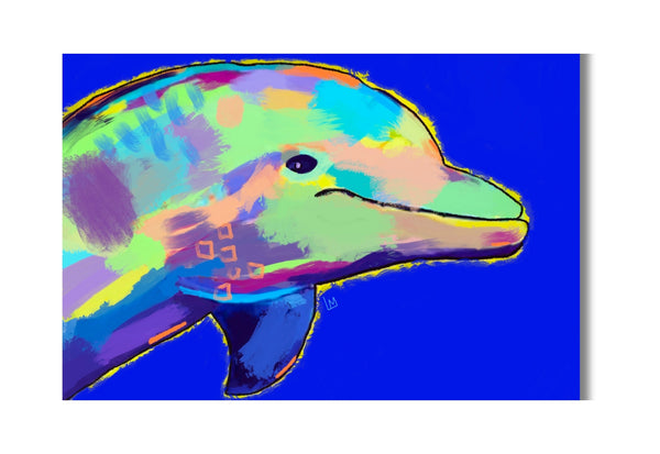 Colorful dolphin illustration on a blue background
