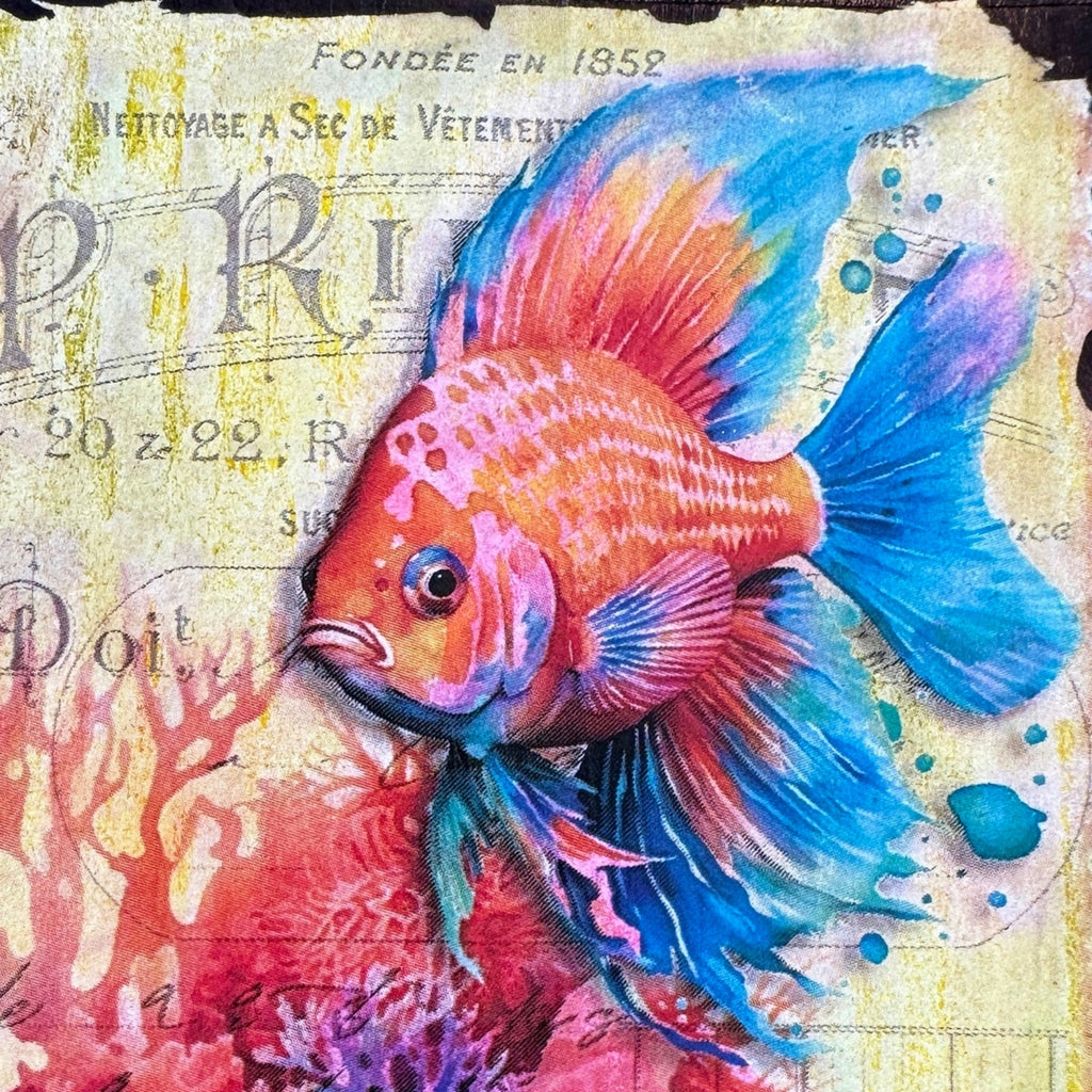 fish note card set with envelopes