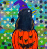 black crow on an orange jack-0-lantern note card set