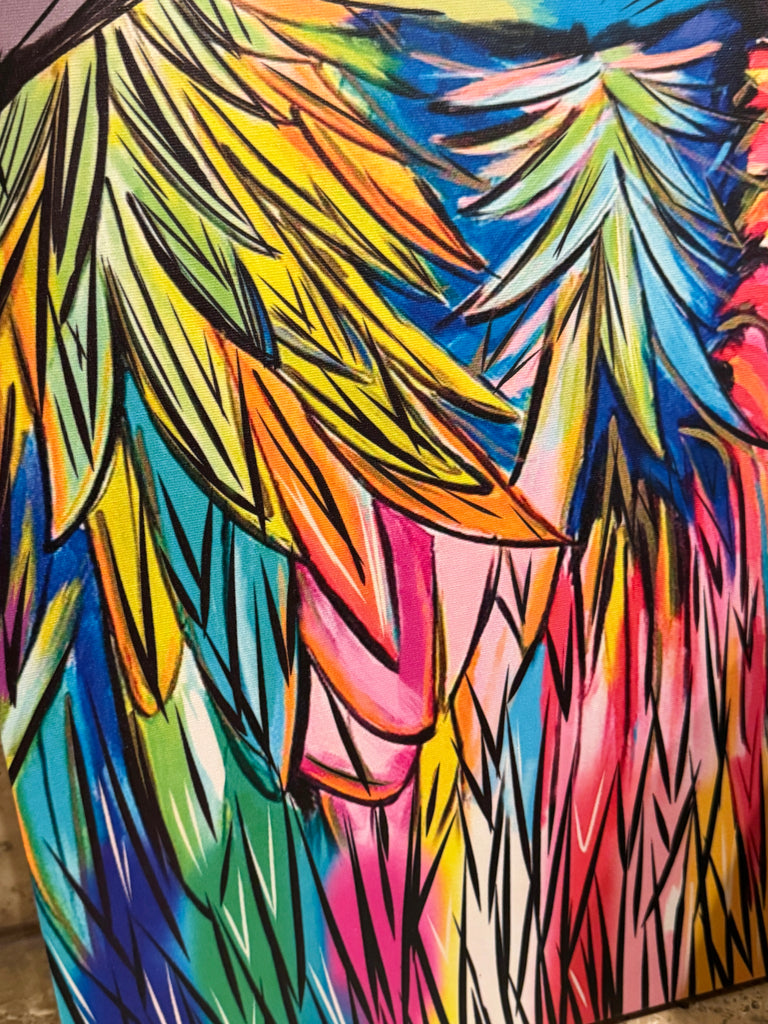 close up of feathers and wings