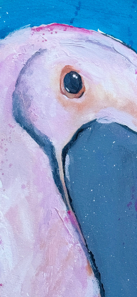 Close-up of a bird's face with a blue background