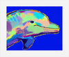 Colorful dolphin illustration on a blue background