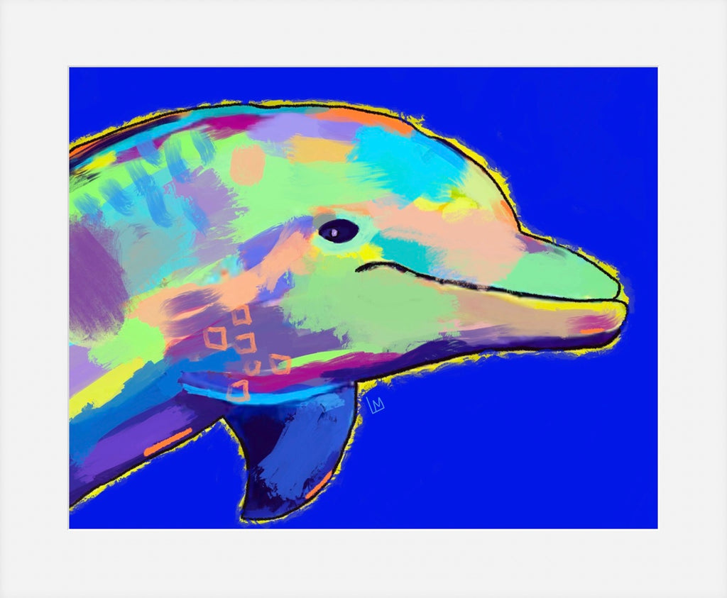 Colorful dolphin illustration on a blue background
