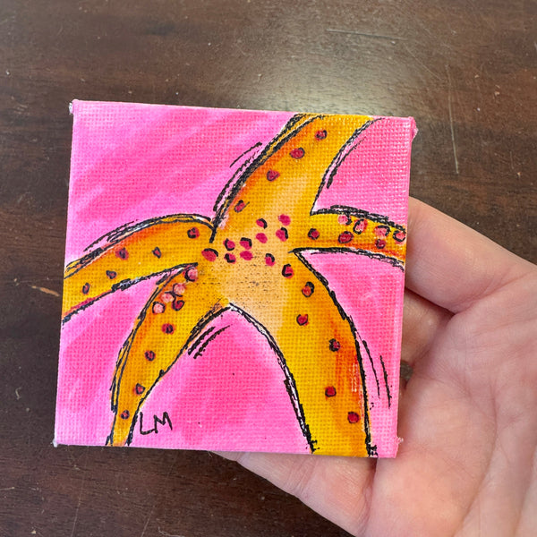 starfish artwork with pink background on 3 inch canvas panel
