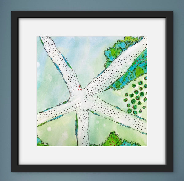 Framed artwork of a starfish