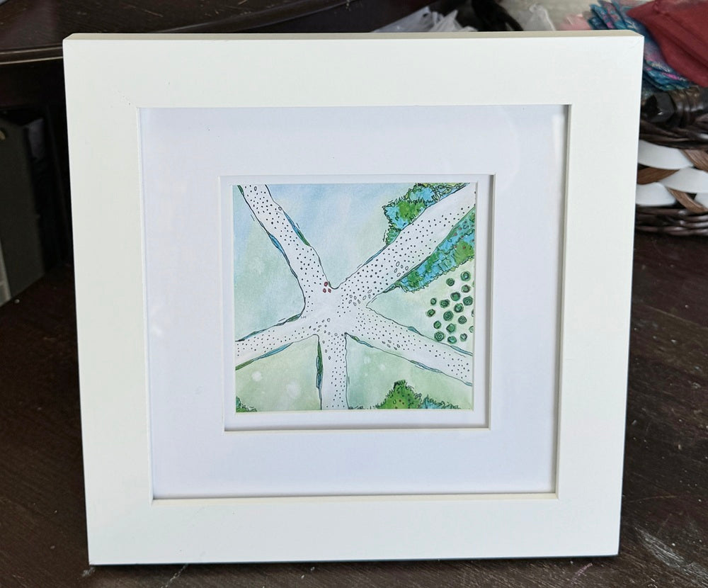 Framed artwork of a starfish