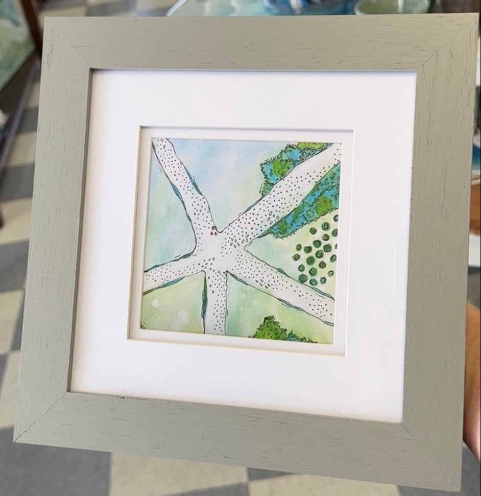 Framed artwork of a starfish 