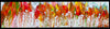 Fluid art autumn painting on tile